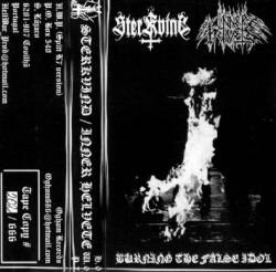 Sterkvind : Burning the False Idol